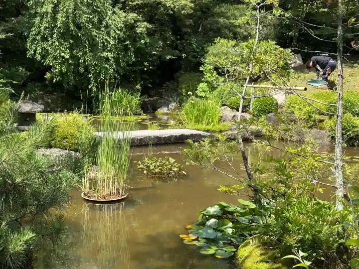 退蔵院(京都府)