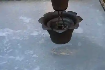 三春大神宮の自然