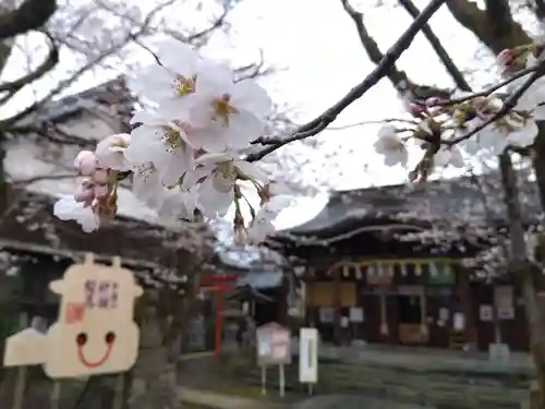  湊八幡神社(福井県)