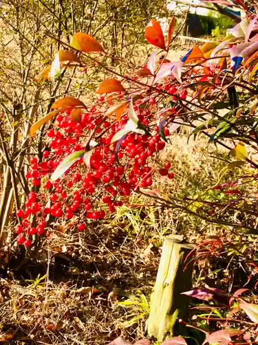 冨士浅間神社(茨城県)