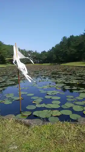 江田神社のお墓