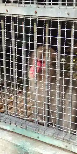 日吉大社(滋賀県)