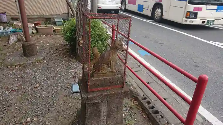 和物所稲荷神社の狛犬