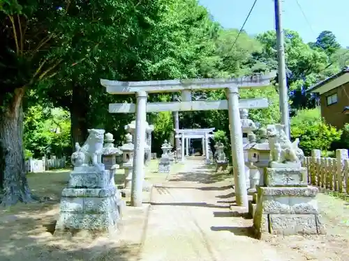 素鵞熊野神社の鳥居