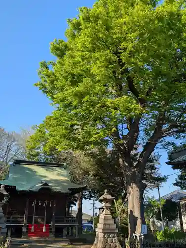 白幡八幡神社(神奈川県)