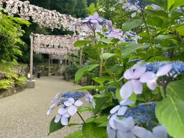 川越氷川神社(埼玉県)