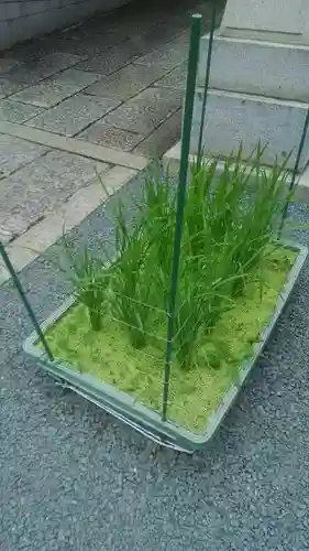 金王八幡宮のその他建物