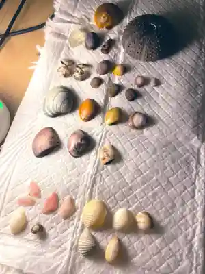 鶴岡八幡宮の周辺