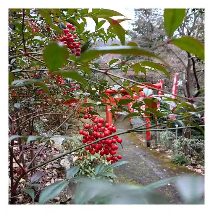 岐阜稲荷山本社(岐阜県)