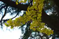 乃木神社(山口県)