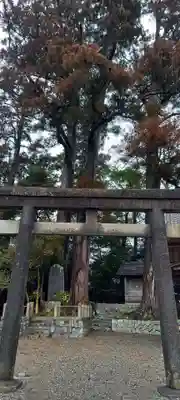 白髭神社(静岡県)
