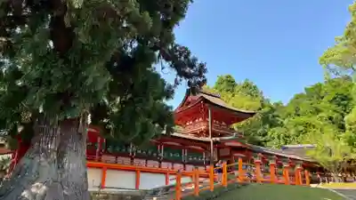 春日大社(奈良県)