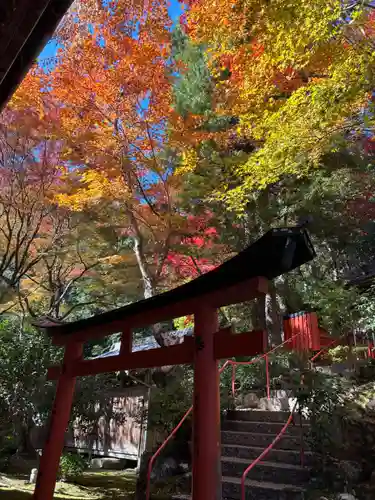 柳谷観音　楊谷寺(京都府)