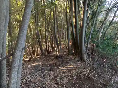 浅間神社の周辺