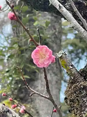 伏見神宝神社(京都府)