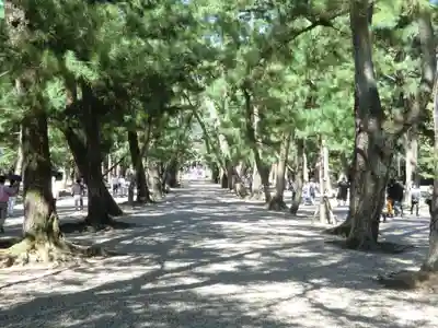 出雲大社(島根県)