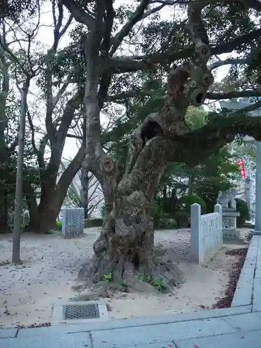 宮地嶽神社の自然