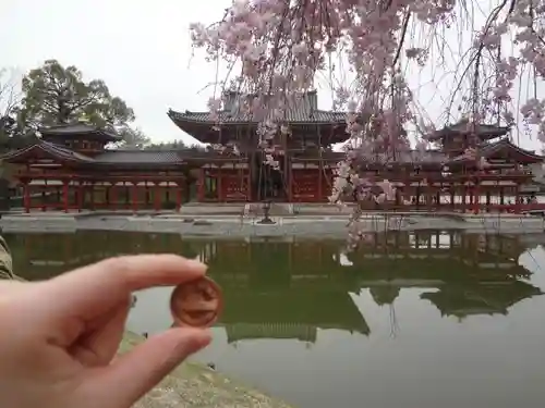 平等院の建物その他