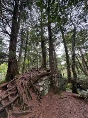 穂高神社奥宮の自然