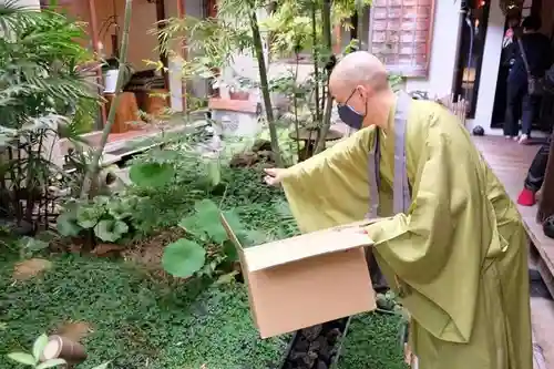 遠照山 光明寺（尼崎大仏）(兵庫県)