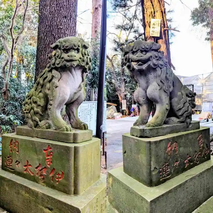岩槻久伊豆神社の狛犬
