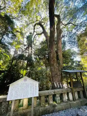久能山東照宮(静岡県)
