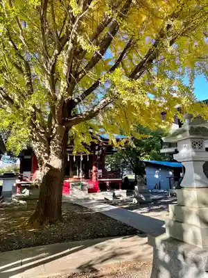 小金八坂神社(千葉県)