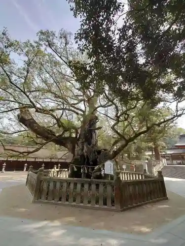 大山祇神社(愛媛県)