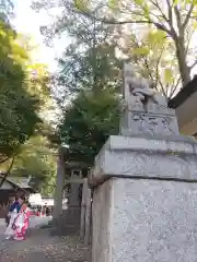 調神社(埼玉県)