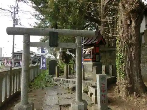 玉前神社の鳥居