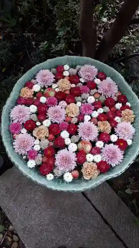 行田八幡神社の手水