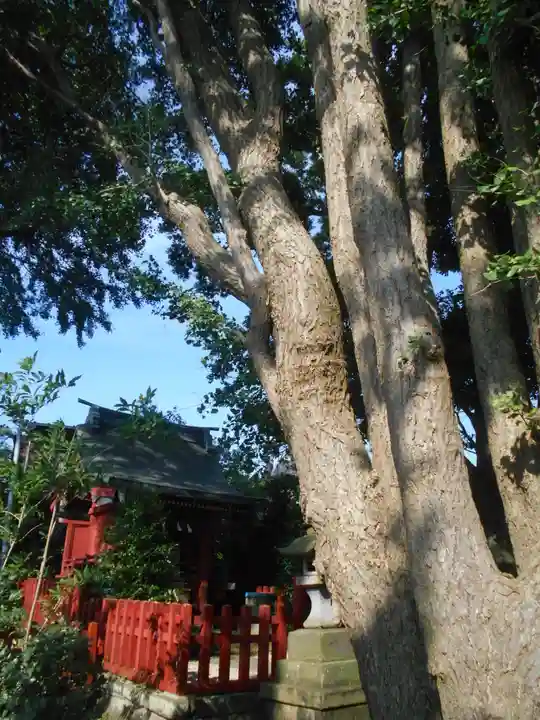 由比若宮(元鶴岡八幡宮)の末社・摂社