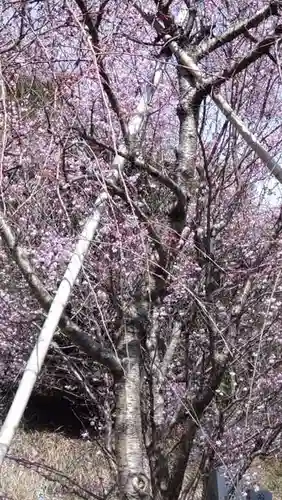 円通寺(神奈川県)