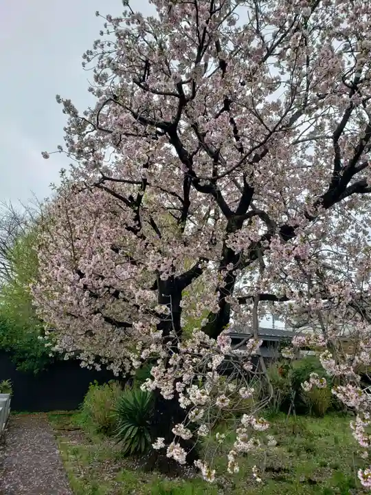 福蔵院(東京都)