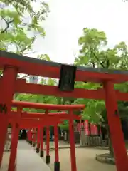 湊川神社の鳥居