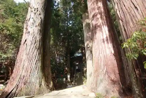 鹿島大神宮の自然