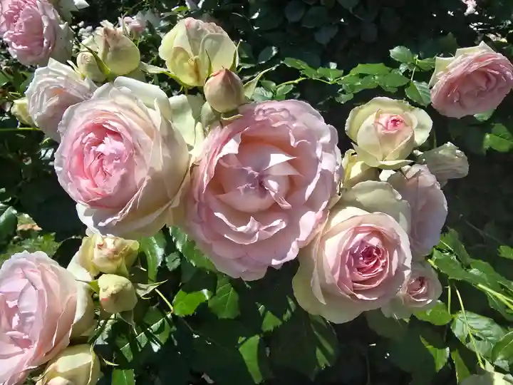 霊山寺(奈良県)