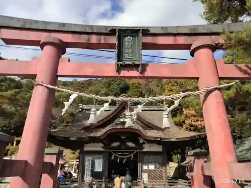 白鬚神社の鳥居