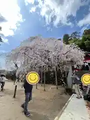 小川諏訪神社の自然