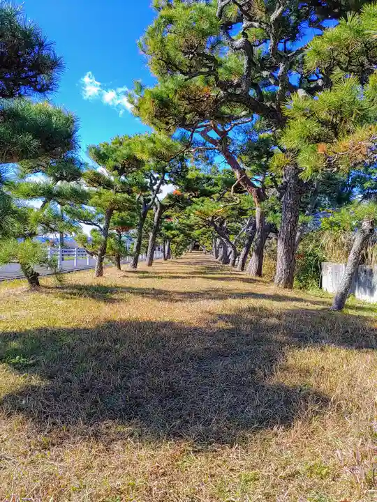 鞆江神社(明地)の自然