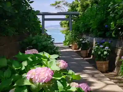 酒列磯前神社(茨城県)