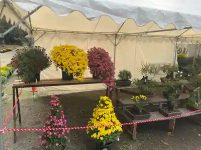 那須神社(栃木県)