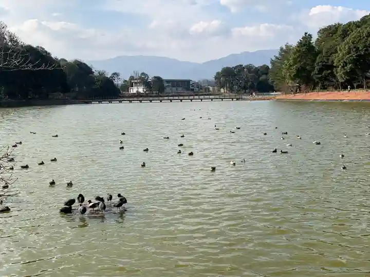 橿原神宮(奈良県)