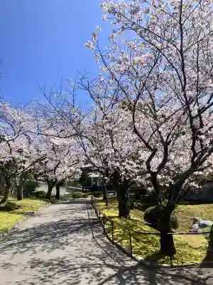 妙法寺(佐賀県)