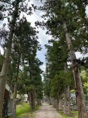 浅井神社(富山県)