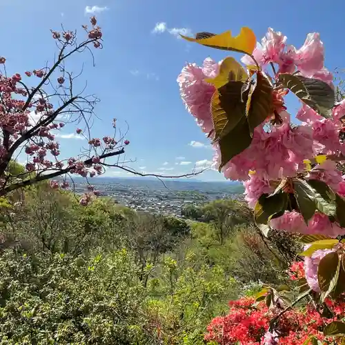 松尾宇蛇神社・白蛇神社(長野県)