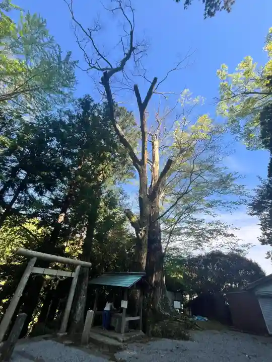 國津神社の{uncategorized: "未分類", other: "その他", undefined: "問題あり", building: "その他建物", grave: "お墓", sacred_gate: "鳥居", guardian: "狛犬", statue: "像", buddha: "仏像", history: "歴史", nature: "自然", garden: "庭園", animal: "動物", pagoda: "塔", temizu: "手水舎", mountain_gate: "山門・神門", sanctuary: "本殿・本堂", subordinate: "末社・摂社", art: "芸術", scenery: "景色", jizo: "地蔵", ema: "絵馬", goshuin: "御朱印", omikuji: "おみくじ", items: "授与品その他", amulet: "お守り", goshuincho: "御朱印帳", eats: "食事", festival: "お祭り", votive_dance: "神楽", shichigosan: "七五三参", wedding: "結婚式", experience: "体験その他", initially: "初詣", around: "周辺", anti_infection: "感染症対策"}