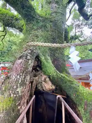 熊野那智大社(和歌山県)