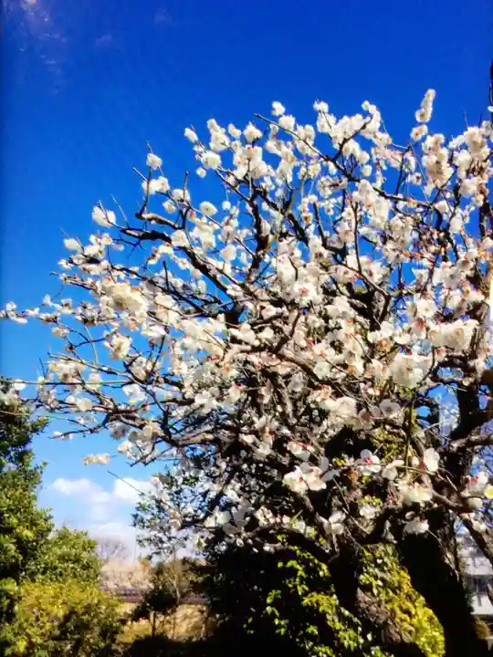 福蔵院(東京都)
