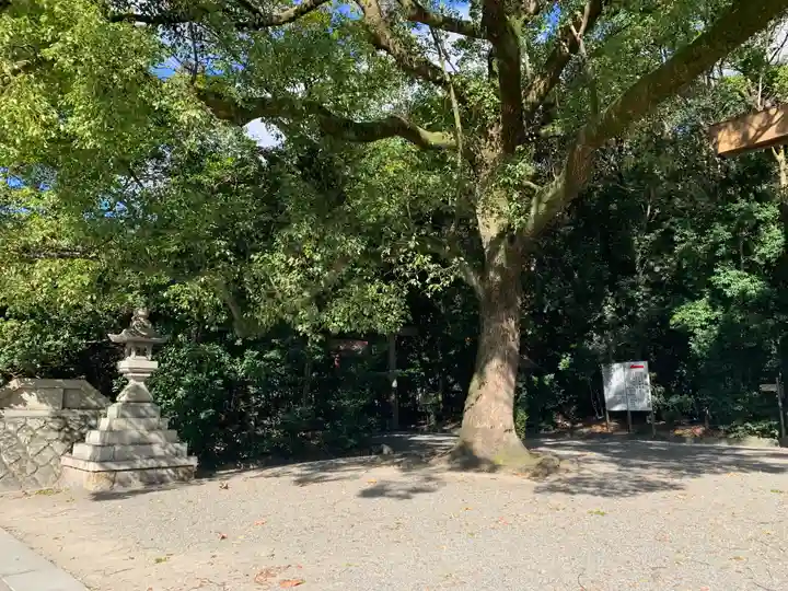 熱田神宮の自然